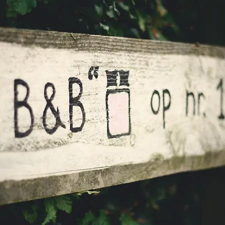 Bed & Breakfast 